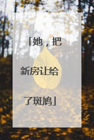 她，把新房让给了斑鸠