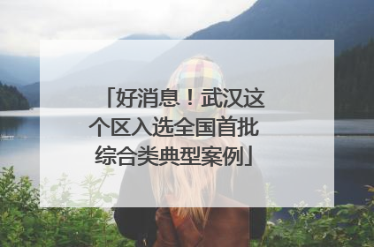 好消息！武汉这个区入选全国首批综合类典型案例