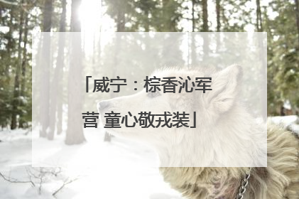 威宁：棕香沁军营 童心敬戎装