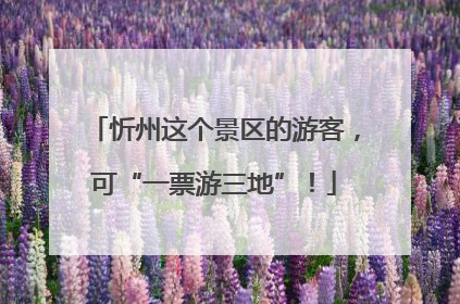 忻州这个景区的游客，可“一票游三地”！