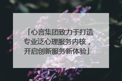 心言集团致力于打造专业泛心理服务内核，开启创新服务新体验