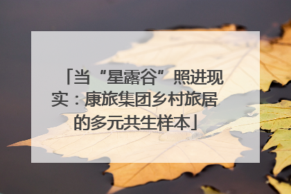 当“星露谷”照进现实：康旅集团乡村旅居的多元共生样本