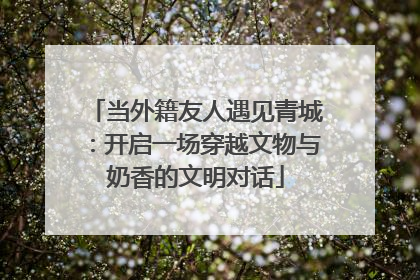 当外籍友人遇见青城：开启一场穿越文物与奶香的文明对话