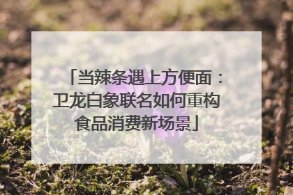 当辣条遇上方便面：卫龙白象联名如何重构食品消费新场景