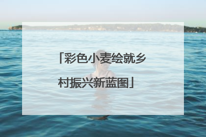 彩色小麦绘就乡村振兴新蓝图