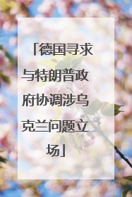 德国寻求与特朗普政府协调涉乌克兰问题立场