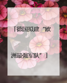 德国拟建“欧洲最强军队”