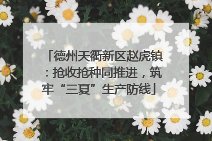 德州天衢新区赵虎镇：抢收抢种同推进，筑牢“三夏”生产防线