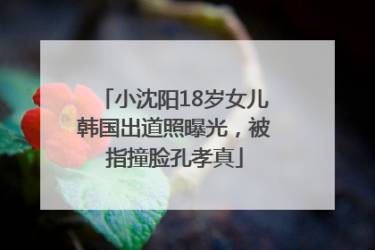 小沈阳18岁女儿韩国出道照曝光，被指撞脸孔孝真