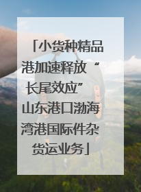 小货种精品港加速释放“长尾效应” 山东港口渤海湾港国际件杂货运业务