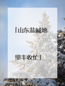 山东盐碱地里丰收忙