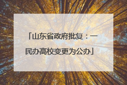 山东省政府批复：一民办高校变更为公办