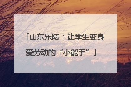 山东乐陵：让学生变身爱劳动的“小能手”
