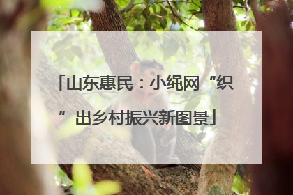 山东惠民：小绳网“织”出乡村振兴新图景