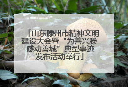 山东滕州市精神文明建设大会暨“为善兴滕 感动善城”典型事迹发布活动举行