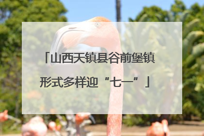 山西天镇县谷前堡镇 形式多样迎“七一”