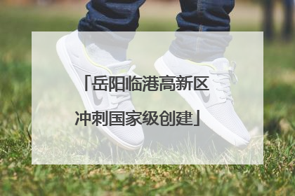 岳阳临港高新区冲刺国家级创建