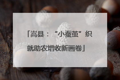 嵩县：“小蚕茧”织就助农增收新画卷