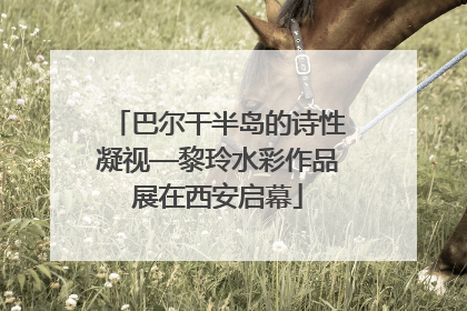 巴尔干半岛的诗性凝视—黎玲水彩作品展在西安启幕