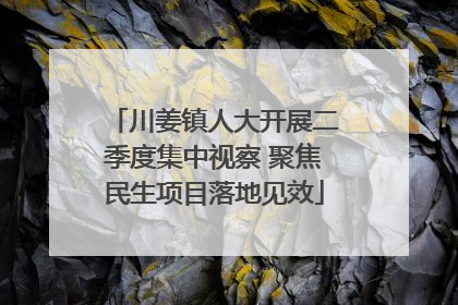 川姜镇人大开展二季度集中视察 聚焦民生项目落地见效