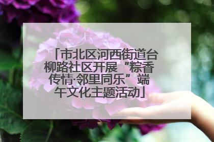 市北区河西街道台柳路社区开展“粽香传情·邻里同乐”端午文化主题活动