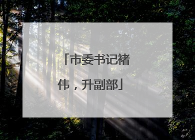 市委书记褚伟，升副部