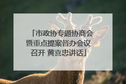 市政协专题协商会暨重点提案督办会议召开 黄喜忠讲话