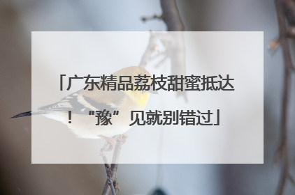 广东精品荔枝甜蜜抵达！“豫”见就别错过