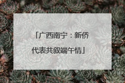 广西南宁：新侨代表共叙端午情