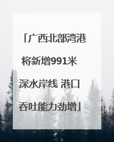 广西北部湾港将新增991米深水岸线 港口吞吐能力劲增