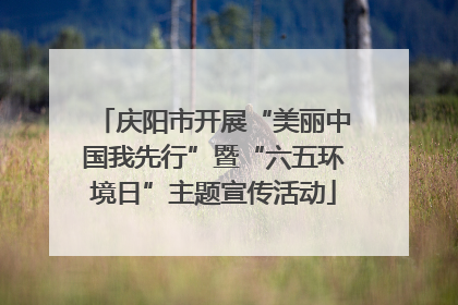 庆阳市开展“美丽中国我先行”暨“六五环境日”主题宣传活动