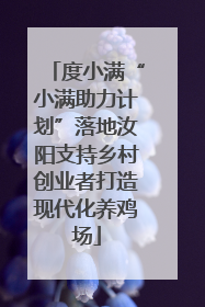 度小满“小满助力计划”落地汝阳支持乡村创业者打造现代化养鸡场