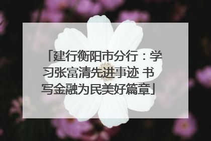 建行衡阳市分行：学习张富清先进事迹 书写金融为民美好篇章