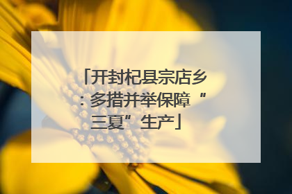 开封杞县宗店乡：多措并举保障“三夏”生产