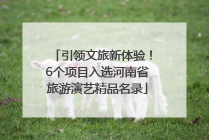引领文旅新体验！6个项目入选河南省旅游演艺精品名录