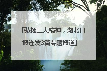 弘扬三大精神，湖北日报连发3篇专题报道