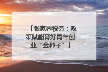 张家界税务：政策赋能育好青年创业“金种子”