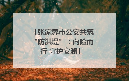 张家界市公安共筑“防洪堤”：向险而行 守护安澜