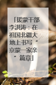 援蒙干部李洪涛：在祖国北疆大地上书写“京蒙一家亲”篇章