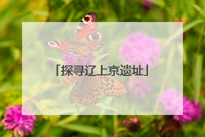 探寻辽上京遗址