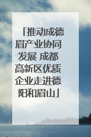 推动成德眉产业协同发展 成都高新区优质企业走进德阳和眉山