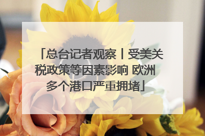 总台记者观察丨受美关税政策等因素影响 欧洲多个港口严重拥堵