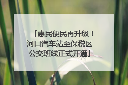 惠民便民再升级！河口汽车站至保税区公交班线正式开通