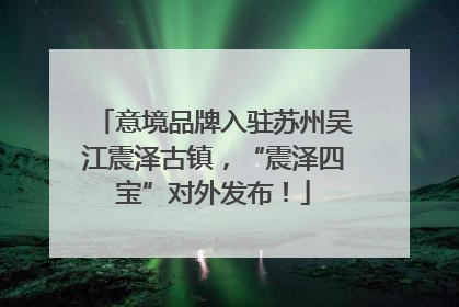 意境品牌入驻苏州吴江震泽古镇，“震泽四宝”对外发布！