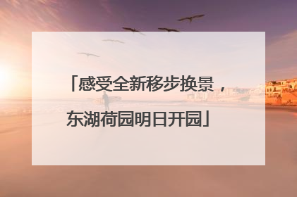 感受全新移步换景，东湖荷园明日开园