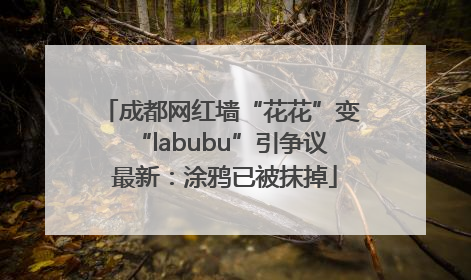 成都网红墙“花花”变“labubu”引争议 最新：涂鸦已被抹掉