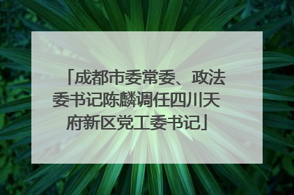 成都市委常委、政法委书记陈麟调任四川天府新区党工委书记