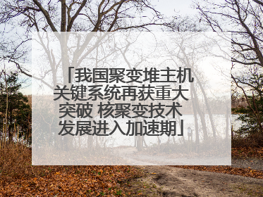 我国聚变堆主机关键系统再获重大突破 核聚变技术发展进入加速期