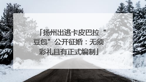 扬州出逃卡皮巴拉“豆包”公开征婚：无须彩礼且有正式编制