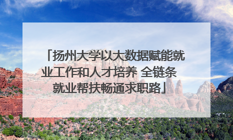 扬州大学以大数据赋能就业工作和人才培养 全链条就业帮扶畅通求职路